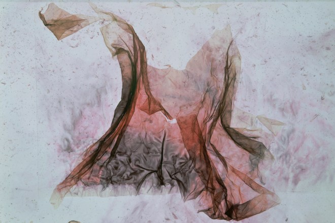 DZIUBDZIELA-JACEK-NAJDROŻSZE ZDJĘCIA SWIATA-2014-15-Cindy Sherman