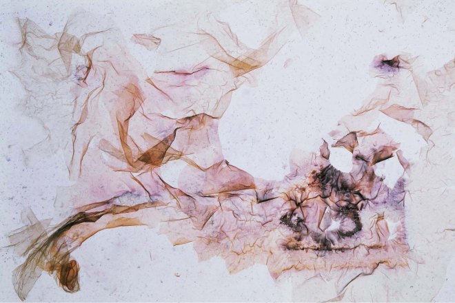 DZIUBDZIELA-JACEK-NAJDROŻSZE ZDJĘCIA SWIATA-2014-15-RICHARD PRINCE 4.jpg