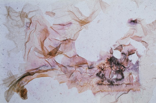 DZIUBDZIELA-JACEK-NAJDROŻSZE ZDJĘCIA SWIATA-2014-15-RICHARD PRINCE